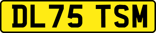 DL75TSM