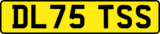 DL75TSS