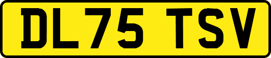 DL75TSV