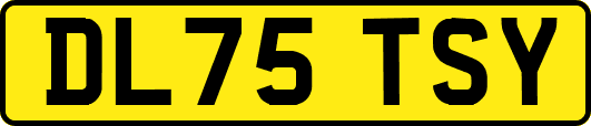 DL75TSY