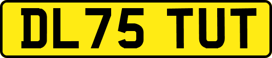 DL75TUT