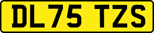 DL75TZS