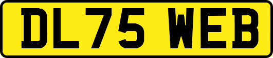 DL75WEB