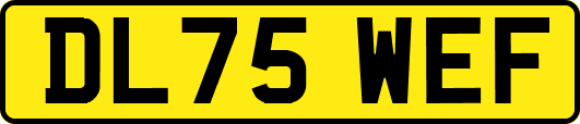 DL75WEF