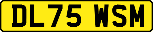 DL75WSM