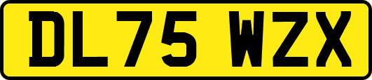 DL75WZX