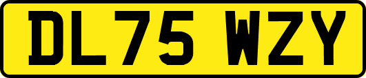 DL75WZY