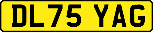 DL75YAG