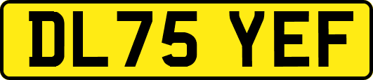 DL75YEF
