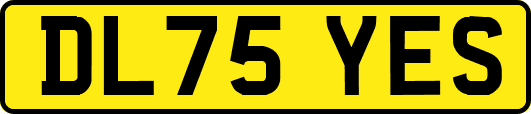 DL75YES