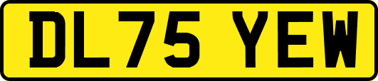 DL75YEW