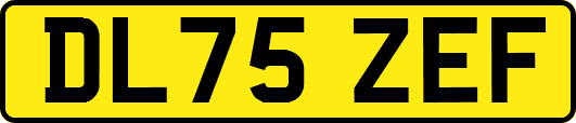 DL75ZEF