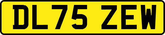 DL75ZEW