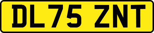 DL75ZNT