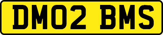 DM02BMS