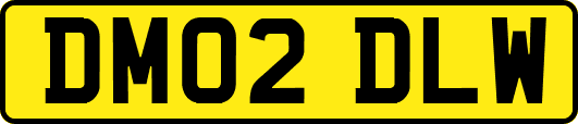 DM02DLW