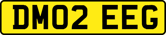 DM02EEG