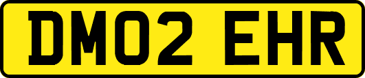 DM02EHR