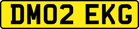DM02EKG