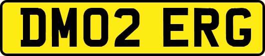 DM02ERG