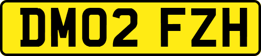 DM02FZH