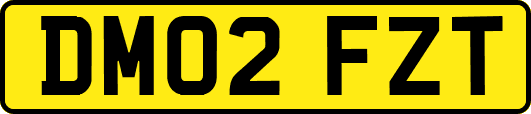 DM02FZT