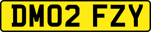 DM02FZY