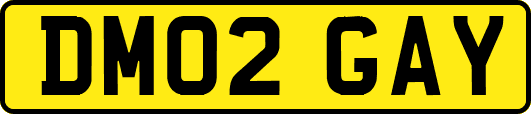 DM02GAY