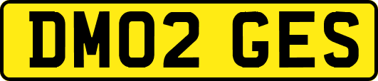 DM02GES