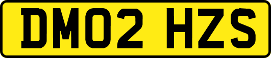 DM02HZS
