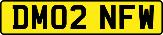 DM02NFW