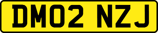 DM02NZJ