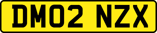DM02NZX