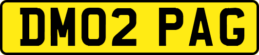 DM02PAG