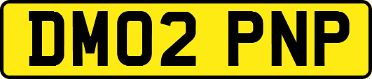 DM02PNP