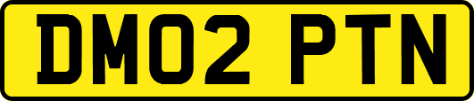 DM02PTN