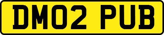 DM02PUB