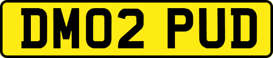 DM02PUD
