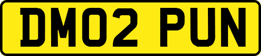 DM02PUN