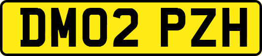 DM02PZH