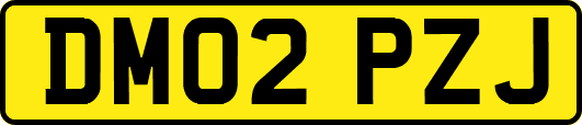 DM02PZJ