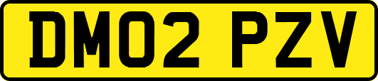 DM02PZV