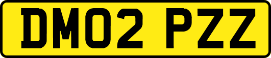 DM02PZZ