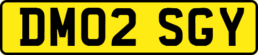 DM02SGY