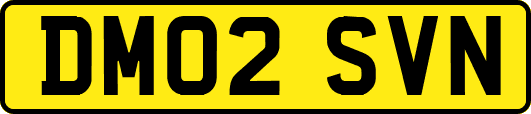 DM02SVN