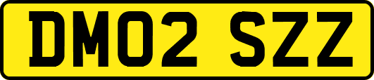 DM02SZZ
