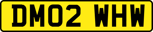 DM02WHW