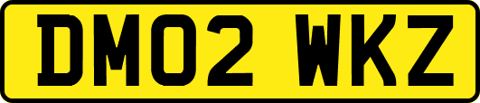 DM02WKZ