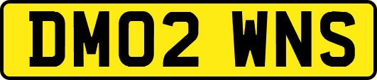 DM02WNS