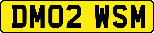 DM02WSM